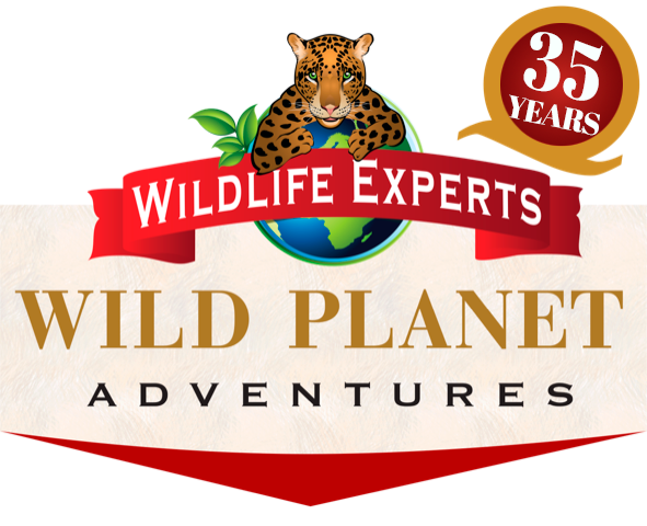 35YearAnniversaryBadge