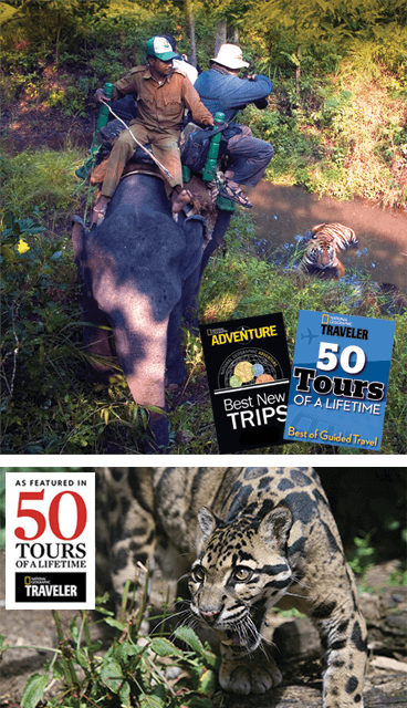 IndiaThailandNewsletter